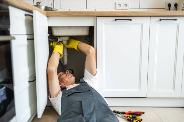 Best Affordable Plumbing Services  in Lake Camelot, IL