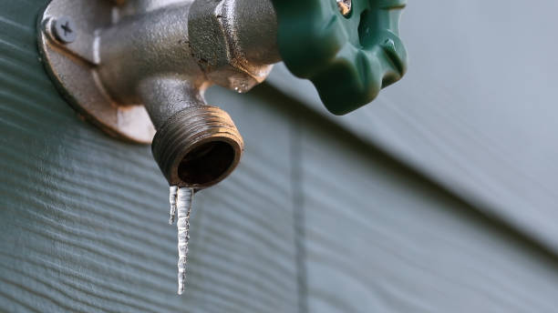 Best Plumbing Inspection Services  in Lake Camelot, IL