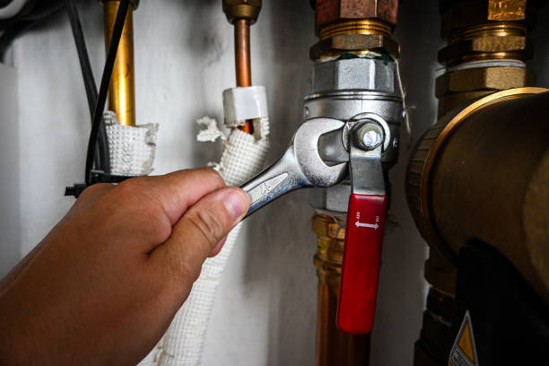 Best Faucet Repair  in Lake Camelot, IL
